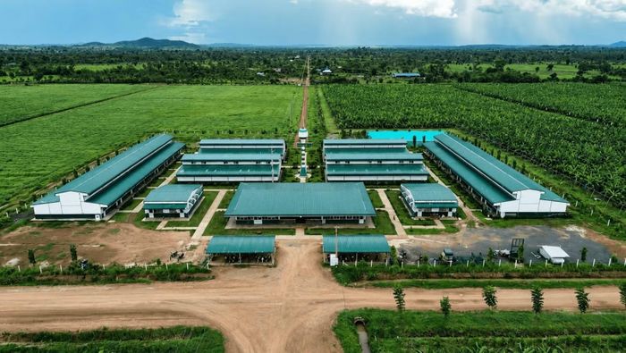 Thaco Agri - công ty nông nghiệp của tỷ phú Trần Bá Dương lãi hơn 64,6 tỷ đồng trong năm tài chính 2025
