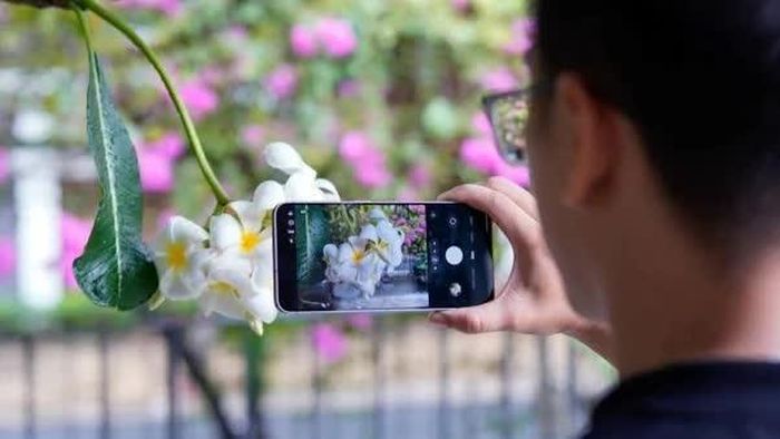 Điện thọai Samsung cho ảnh chi tiết, màu sắc tươi sáng ở điều kiện đủ sáng.