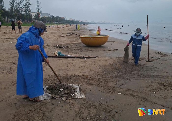 Công nhân được huy động cào, thu gom rác tại các bãi biển du lịch hằng ngày. Ảnh: HOÀNG HIỆP