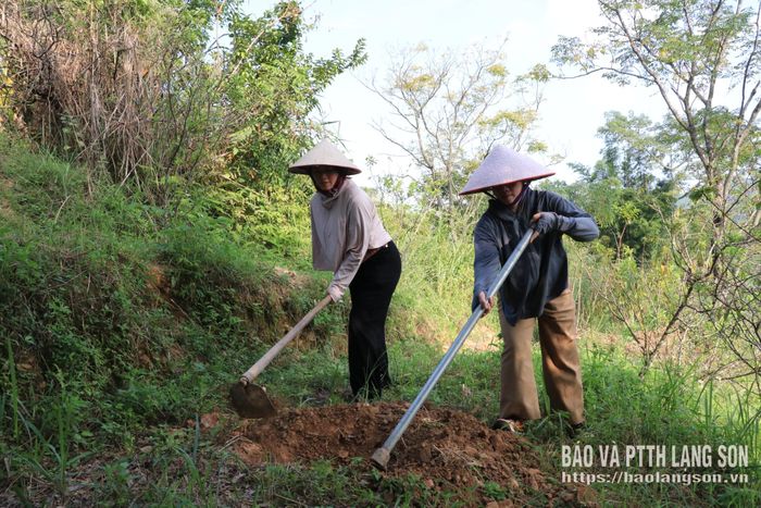 Cán bộ, công chức xã hỗ trợ người dân cuốc hố trồng cây