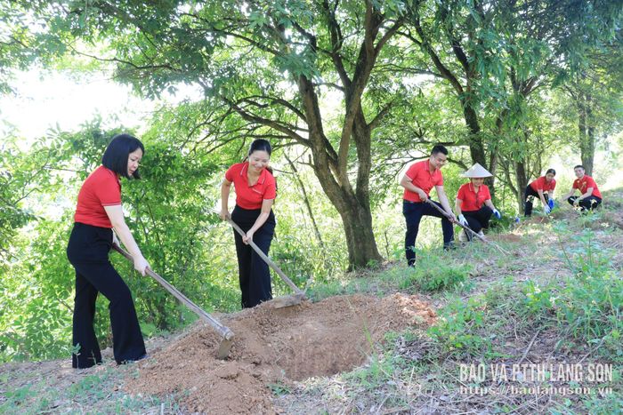 Cán bộ Agribank Chi nhánh Kỳ Lừa Lạng Sơn hỗ trợ hộ dân cuốc hố chuẩn bị trồng cây