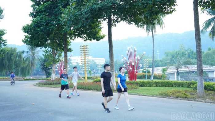 Hệ thống chiếu sáng và cảnh quan công viên Nhạc Sơn được cải tạo, sửa chữa, tạo không gian sáng, đẹp, thuận tiện cho người dân đi bộ, tập thể dục.