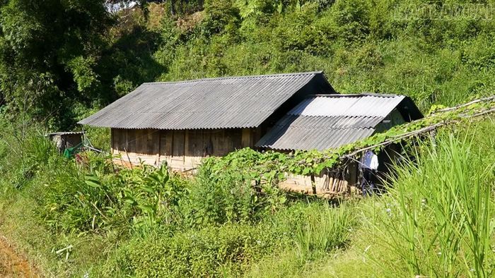 Nghiện ma túy kéo dài khiến nhiều gia đình rơi vào cảnh kiệt quệ về kinh tế.