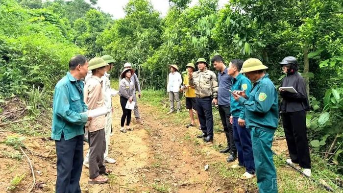 Xã Châu Quế thực hiện kiểm kê hiện trạng đất đai trong phạm vi thực hiện dự án.