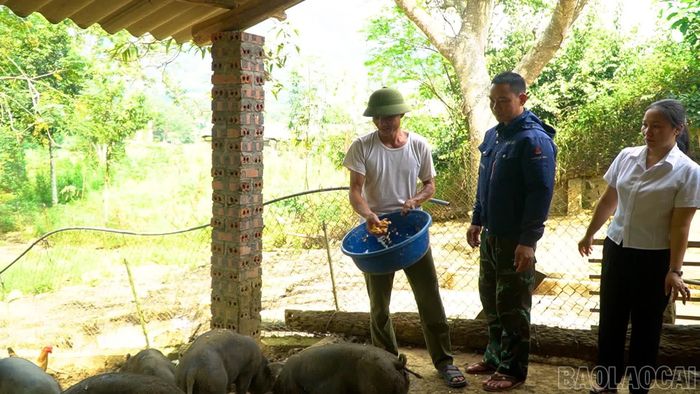 Chuồng trại chăn nuôi lợn bản địa của gia đình anh Phan Thế Khương (đứng bên trái).