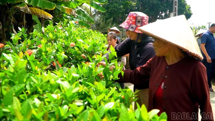 Người dân tích cực góp công, góp sức xây dựng nông thôn mới.