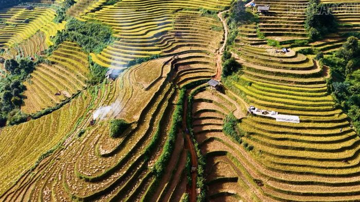 Trong quá trình thi đấu các vận động viên được hòa mình vào sắc màu của các thửa ruộng bậc thang.