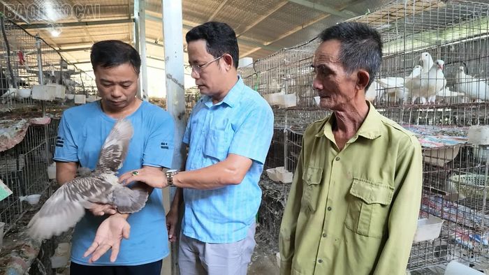 Mô hình trở thành điểm sáng để nông dân đến tham quan, học hỏi.