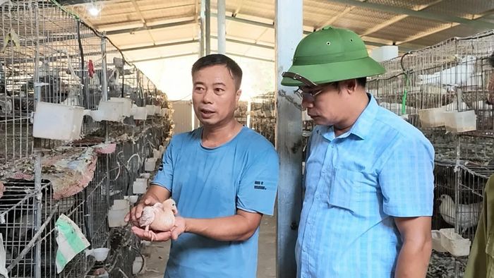 Anh Trịnh Ngọc Liêm (bên trái) chia sẻ về kỹ thuật nuôi chim bồ câu Pháp.