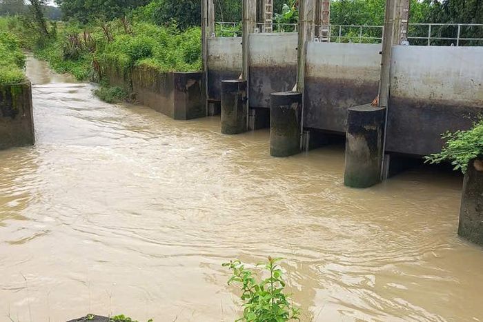 Nhiều cống thoát lũ ở Nam Thành quá tải