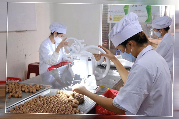 Lâm Đồng đẩy mạnh phát triển chế biến sâu các sản phẩm đến từ mắc ca