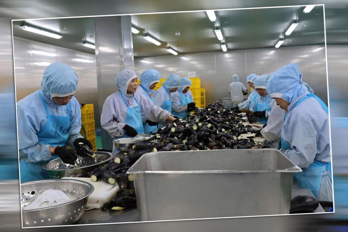 Chế biến nông sản tại KCN Phú Hội
