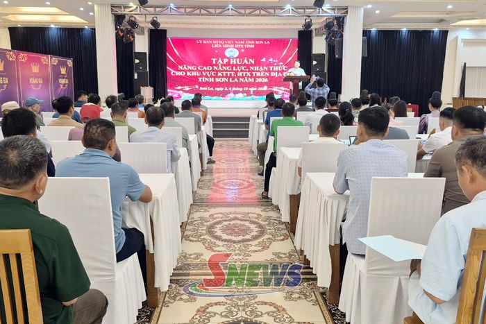 Tập huấn nâng cao năng lực, nhận thức cho khu vực kinh tế tập thể trên địa bàn tỉnh năm 2026.