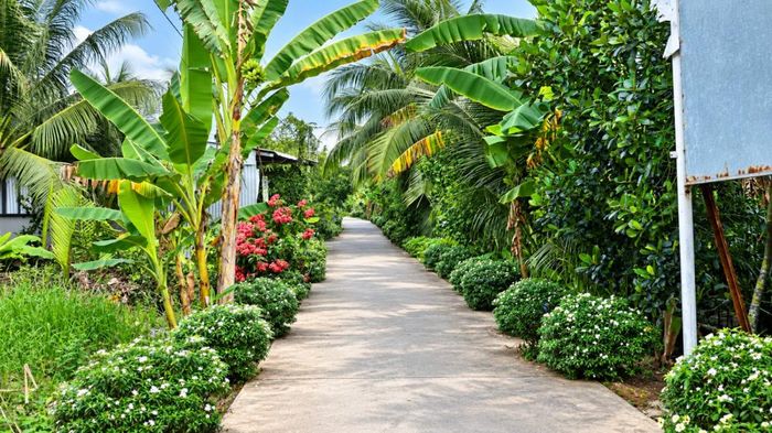 Hạ tầng giao thông phường Thới Sơn được đầu tư, chỉnh trang "xanh - sạch - đẹp"
