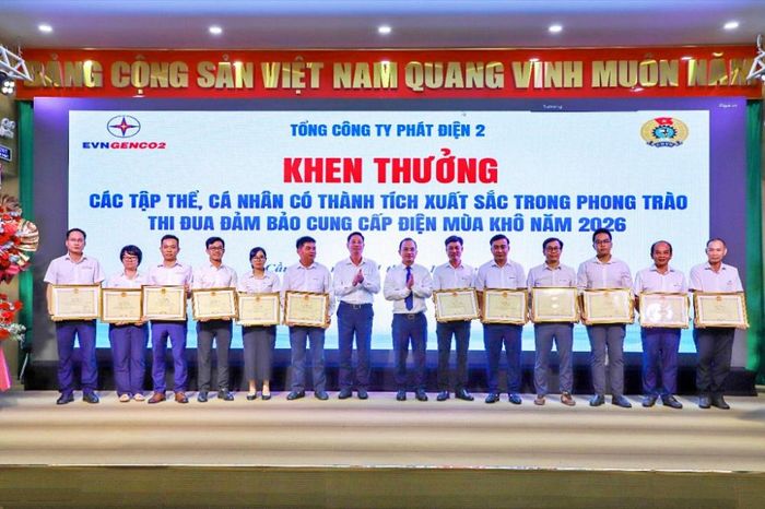 Vinh danh các tập thể, cá nhân có thành tích xuất sắc trong phong trào thi đua đảm bảo cung cấp điện những tháng mùa khô năm 2026 tại Hội nghị.