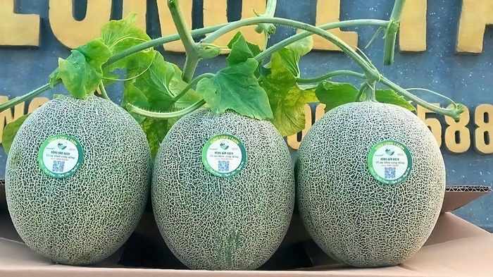 HTX dịch vụ nông nghiệp Hưng Long - Một trong những mô hình phát triển kinh tế tại địa phương. Ảnh: Nguyễn Diệu