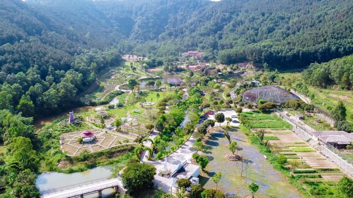 Khu du lịch sinh thái Đại Huệ. Ảnh: Khu du lịch sinh thái Đại Huệ