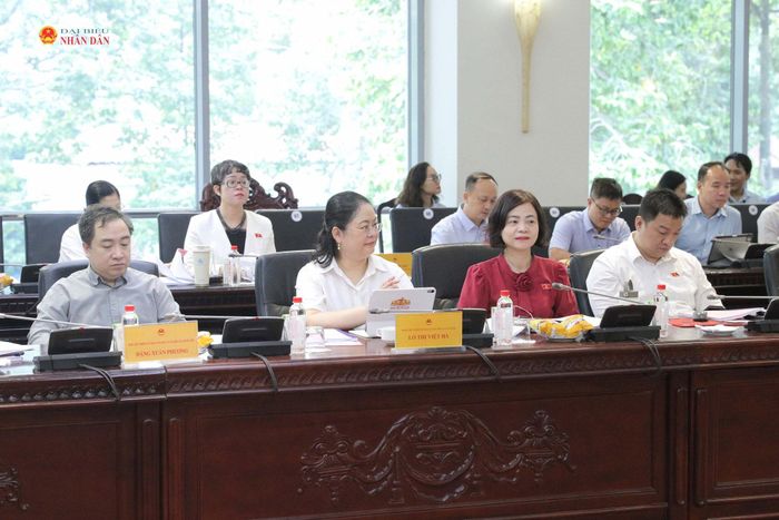 Các đại biểu dự Phiên họp