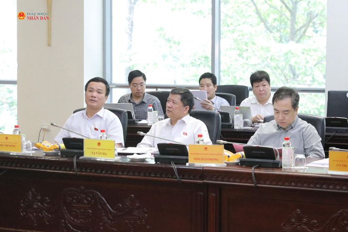 Các đại biểu dự Phiên họp