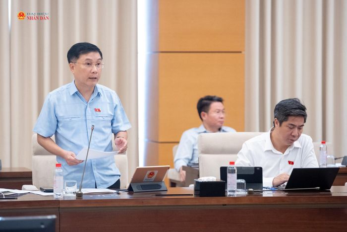 ĐBQH hoạt động chuyên trách tại Ủy ban Kinh tế và Tài chính Lê Hoàng Anh phát biểu