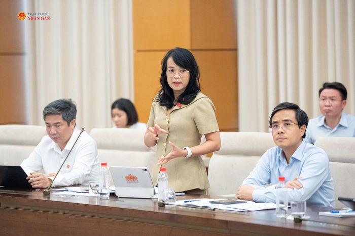 ĐBQH hoạt động chuyên trách tại Ủy ban Kinh tế và Tài chính Phạm Thị Hồng Yến phát biểu