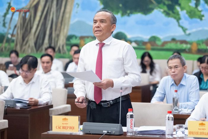 Chủ tịch Hiệp hội Bất động sản thành phố Hồ Chí Minh Lê Hoàng Châu phát biểu