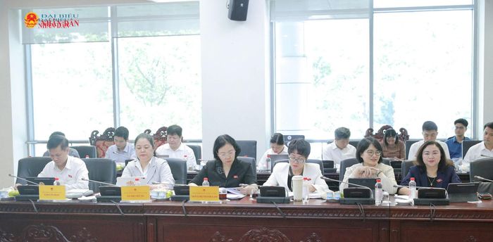 Các đại biểu dự phiên họp. Ảnh: Hồ Long