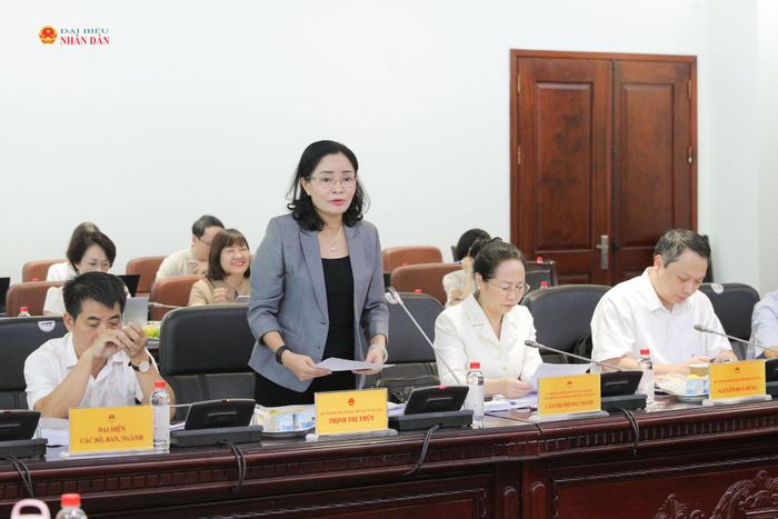 Thứ trưởng Bộ Văn hóa, Thể thao và Du lịch Trịnh Thị Thủy trình bày tờ trình dự án luật. Ảnh: Hồ Long
