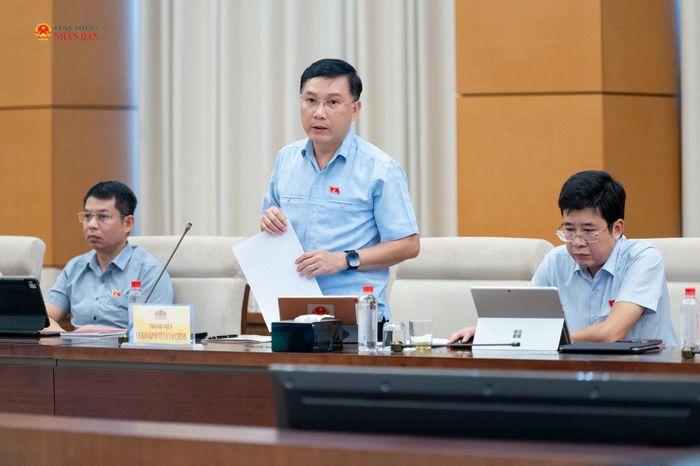 ĐBQH hoạt động chuyên trách tại Ủy ban Kinh tế và Tài chính Lê Hoàng Anh phát biểu