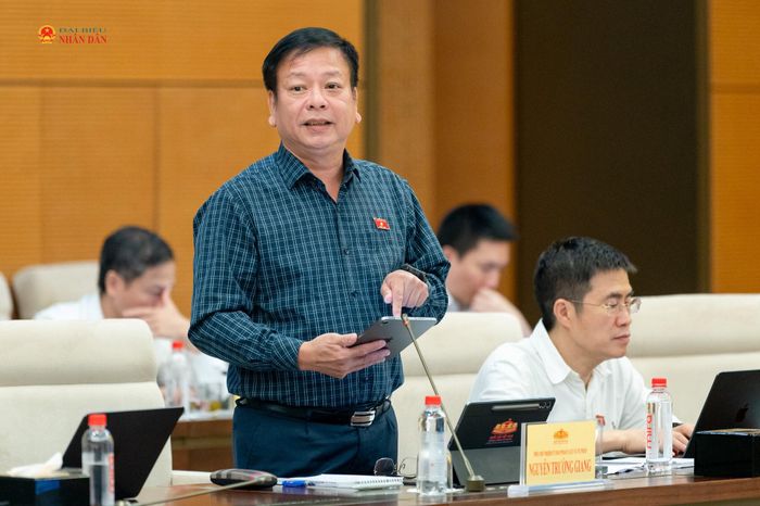 Phó Chủ nhiệm Ủy ban Pháp luật và Tư pháp Nguyễn Trường Giang phát biểu