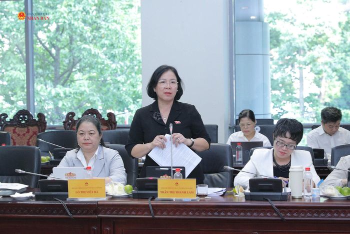 Phó Chủ nhiệm Ủy ban Văn hóa và Xã hội Trần Thị Thanh Lam phát biểu tại phiên họp. Ảnh: Hồ Long