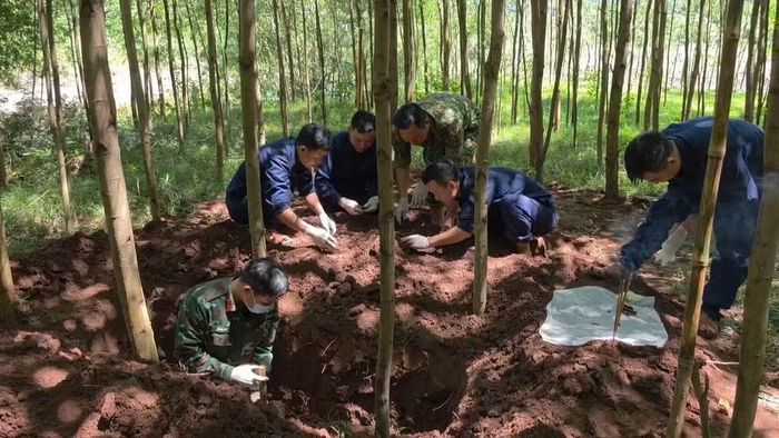 Đội tìm kiếm, quy tập hài cốt liệt sĩ số 1, Phòng Chính trị, Bộ Chỉ huy Quân sự tỉnh Quảng Trị tìm kiếm, cất bốc hài cốt liệt sĩ ở Bãi Dinh.