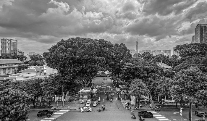 Thảo Cầm Viên Sài Gòn. Ảnh: Cao Thị Thanh Hà
