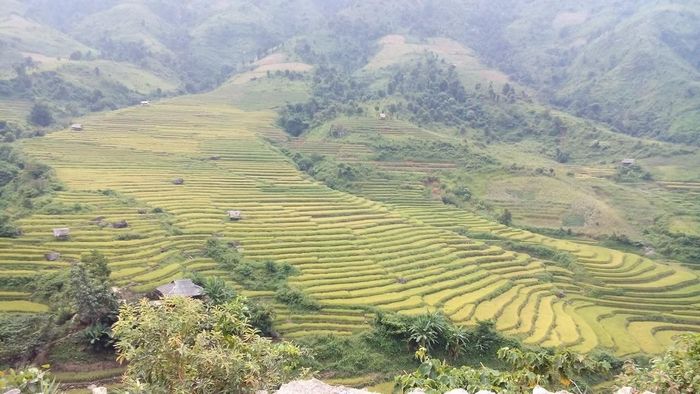 Luật Đất đai sửa đổi cần có cơ chế nhằm tháo gỡ rào cản đối với quyền lợi chính đáng của người dân đang sử dụng đất ổn định. Ảnh: TUẤN HIÊN