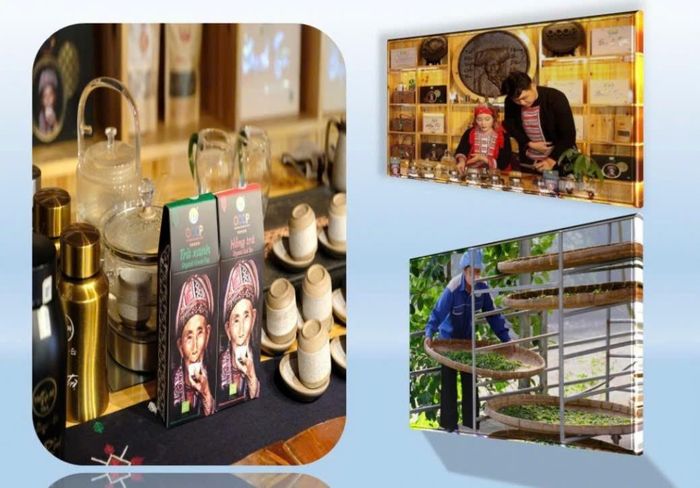 Xây dựng thương hiệu góp phần nâng cao giá trị và khả năng tiếp cận thị trường của nông sản địa phương.