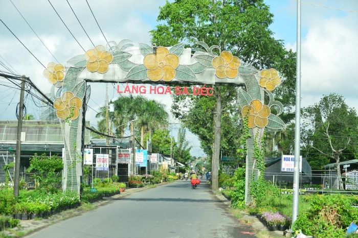 Làng hoa Sa Đéc, điểm du lịch nổi tiếng của Đồng Tháp. Ảnh Quốc Tuấn