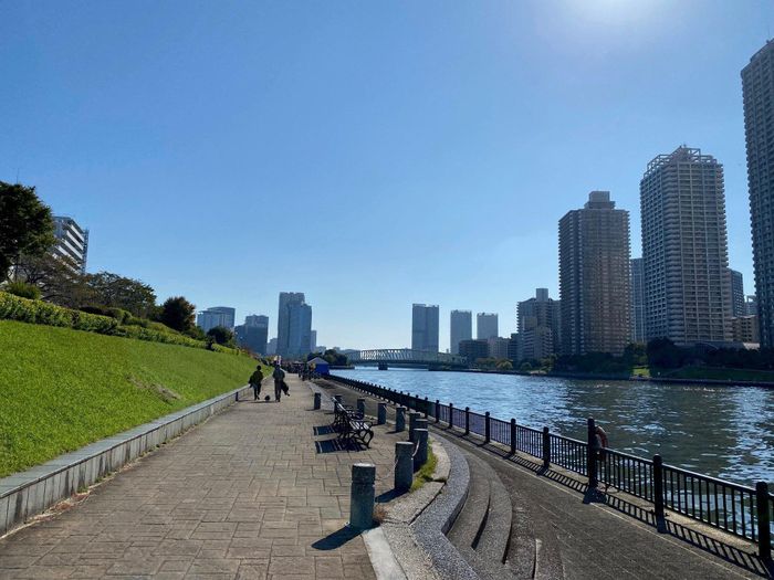 Phố đi bộ kết hợp với đê chống ngập hai bên bờ sông Sumida. Ảnh: Trang thông tin thành phố Tokyo