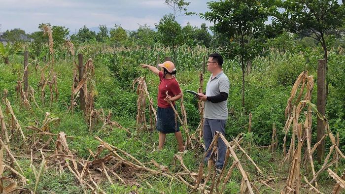 Lực lượng được chia làm nhiều mũi để thực hiện chiến dịch. Ảnh: Thùy Nam