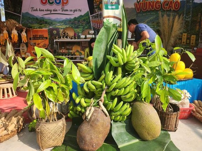 Sản vật của các địa phương. Ảnh: Ngọc Hưng.