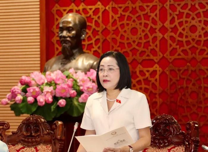 Phó Chủ tịch Quốc hội Nguyễn Thị Thanh phát biểu chỉ đạo tại Phiên họp. Ảnh: Lê Bảo