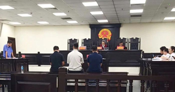 Phiên toà phúc thẩm vụ án