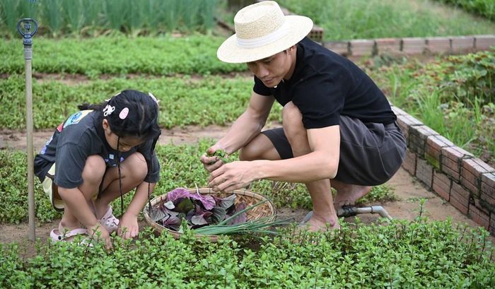Bố Phương Nam và con gái Nguyên Ốc ra vườn hái rau