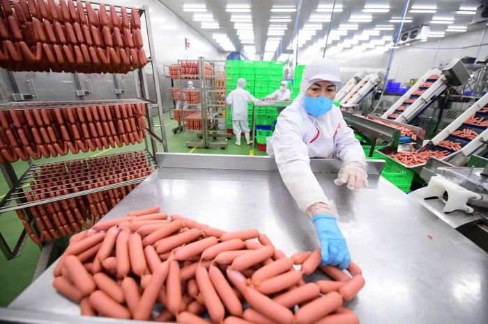 Kinh tế Việt Nam 9 tháng đầu năm ghi nhận mức tăng trưởng mạnh mẽ đạt 9,01%. (Ảnh minh họa: ĐỖ BẢO)