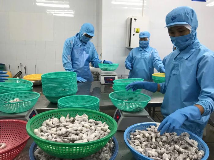 Nhiều doanh nghiệp thể hiện niềm tin tăng trưởng sản xuất trong những tháng cuối năm. (Ảnh: ĐỖ BẢO)