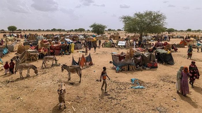 Hơn 11 triệu người Sudan phải rời bỏ nhà cửa, hơn 33 triệu người cần cứu trợ. Ảnh: New York Times