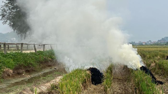  Trên cánh đồng làng So (xã Hưng Đạo, TP Hà Nội) sáng 4-10, khói đốt đồng nghi ngút. Ảnh: PHÚC HẬU 