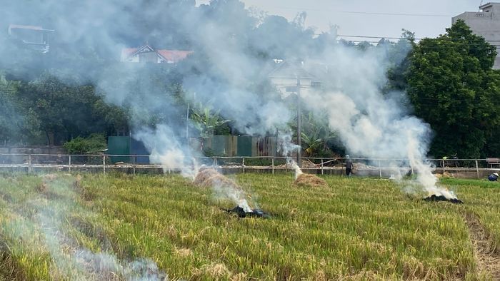  Những đám khói ở cánh đồng thôn Cộng Hòa (xã Hưng Đạo, TP Hà Nội) sáng 4-10. Ảnh: PHÚC HẬU 