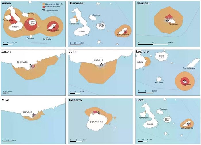 Dữ liệu vệ tinh về sự di chuyển của rùa xanh tại quần đảo Galápagos.