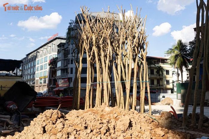 Một số đoạn dải phân cách đã hoàn thiện và được phủ xanh.