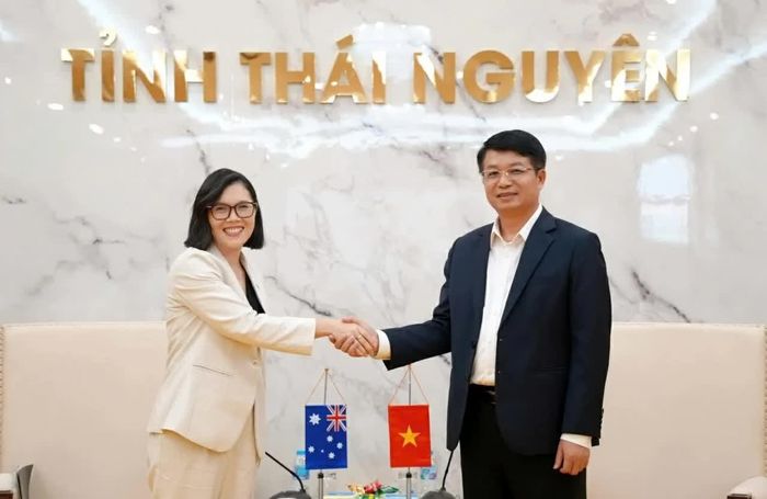 Tham tán Phát triển Đại sứ quán Australia tại Việt Nam Naomi Cook làm việc với ông Nông Quang Nhất, Phó Chủ tịch UBND tỉnh Thái Nguyên. (Nguồn: ĐSQ Australia tại Việt Nam)